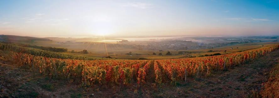 Logis Hotel L'Escargotiere Dijon Sud - Chenôve Eksteriør bilde